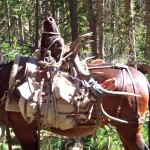 guided elk hunts