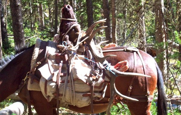 guided elk hunts