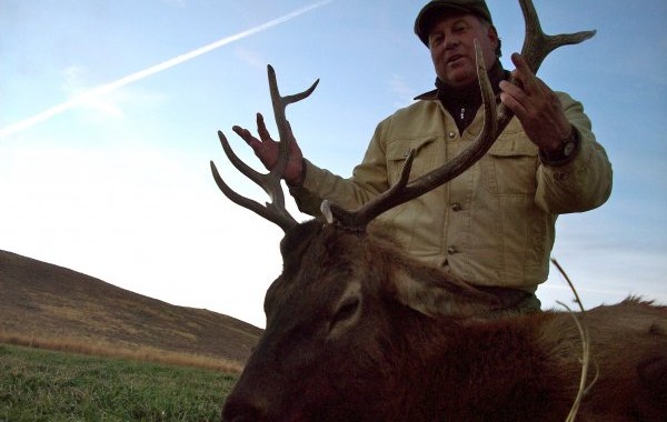 elk hunting trips