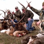 elk hunting trips