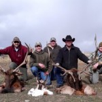 elk hunting trips