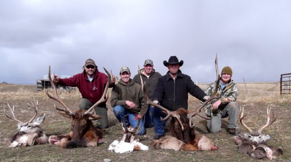 elk hunting trips