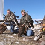 elk hunting trips