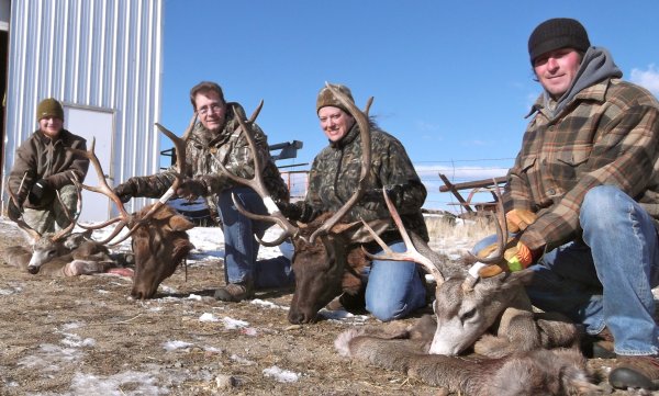 elk hunting trips