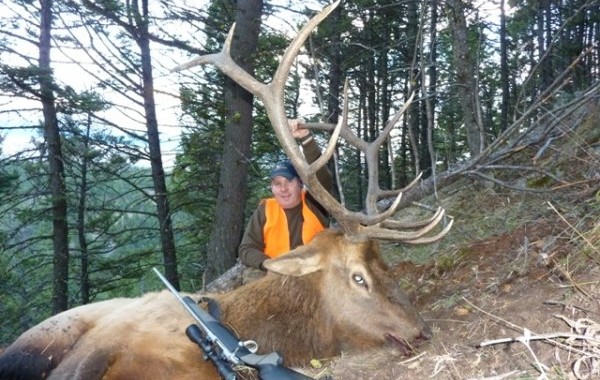 elk hunting