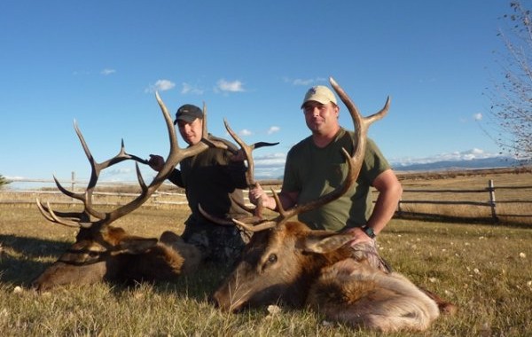 guided elk hunts