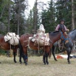 guided elk hunts