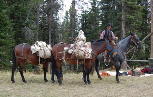 guided elk hunts