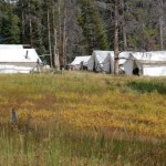 guided elk hunts