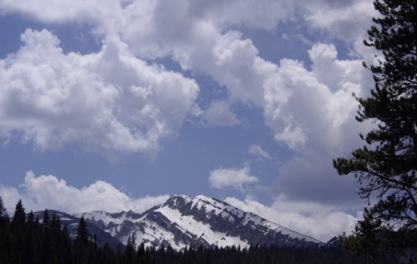 elk hunting in montana