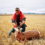 elk hunts