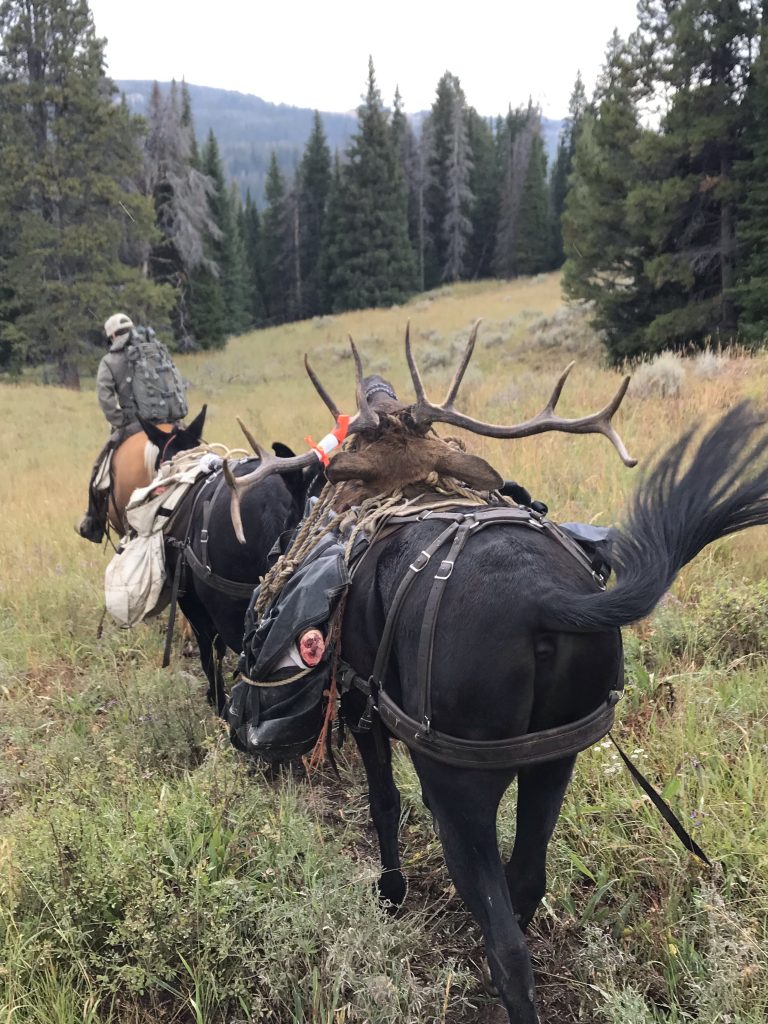 2018 Guided Rifle Wilderness Hunts Sage Peak Hunting