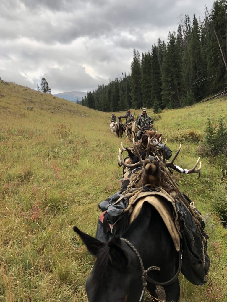 2019 Guided Wilderness Archery Hunts Sage Peak Hunting
